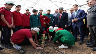 Şırnakta avokado, pepino, çarkıfelek ve papaya meyvelerinin fideleri ekildi