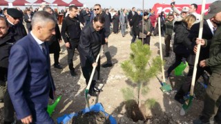 Son 5 yılda Kütahyada 110 milyon 757 bin 317 fidan toprakla buluşturuldu
