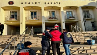 Suç makinesi Bodrumda yakalandı