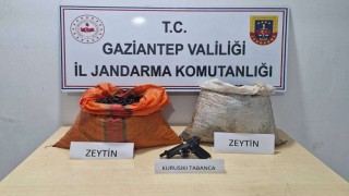 Suçüstü yakalanan zeytin hırsızlığı şüphelisi tutuklandı