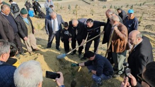 Sungurluda fidanlar toprakla buluştu