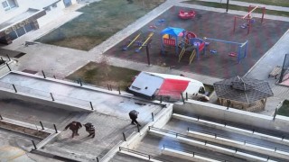Sürücüsünün el frenini çekmeyi unuttuğu kargo aracı çocuk parkına devrildi