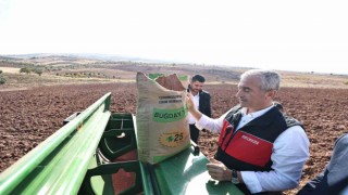 Tahmazoğlu dağıttığı tohumları çiftçilerle ekti