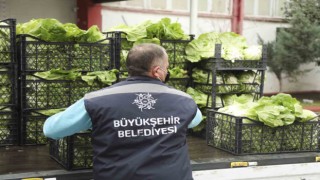 Tarlada kalan ürünleri Aydın Büyükşehir satın alacak