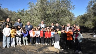 Tarladan sofraya zeytinyağının hikayesi çocuklara anlatıldı