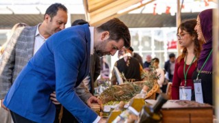 Tarsus'ta 1. Sarıulak Zeytin Şenliği yapıldı