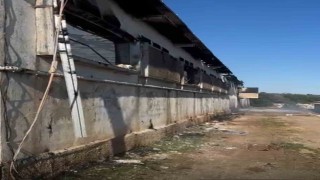 Tarsus‘ta tavuk çiftliğinde yangın 33 bin civciv telef oldu
