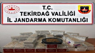 Tekirdağda tütün ürünleri denetiminde 11 bin 820 makaron ele geçirildi