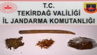 Tekirdağda zehire geçit yok