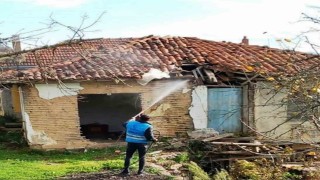 Tekkeköyde istilacı kahverengi kokarcaya karşı savaş açıldı
