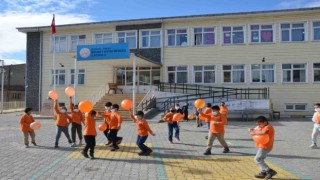 Tercanda lösemili çocuklar için farkındalık çalışması yapıldı