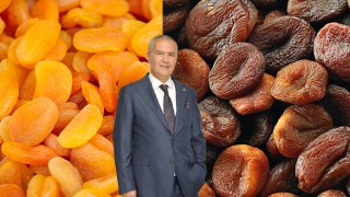 "Türk Kuru Kayısı İhracatında Yükseliş: İlk Çeyrekte %12 Artış Sağlandı"