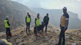 Uçurumda mahsur kalan keçiyi ERKUT ekipleri kurtardı