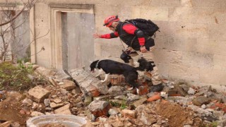 Uluslararası Arama Kurtarma Köpekleri Şampiyonası Çekmeköyde yapıldı