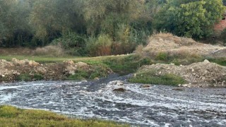 Uşak OSBden bırakılan atıkların Gediz Nehrinde kirlilik ve balık ölümlerine neden olduğu iddia edildi