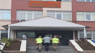 Vanda 6 düzensiz göçmen yakalandı
