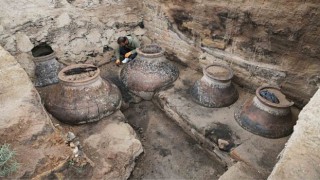 Vanda gerçekleştirilen arkeolojik kazılara Atatürk Üniversitesinden bilimsel katkı