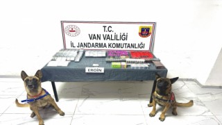 Vanda gümrük kaçakçılığı operasyonları