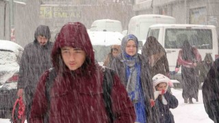 Vanda kar yağışı
