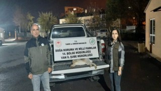 Vanda yasadışı avlanan şahsa 11 bin lira caza