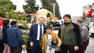 Vezirköprüde 5 bin fidan dağıtıldı