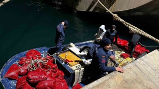 Yalovada 20 ton kaçak midye ele geçirildi