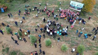 Yalovada 3 bin 200 fidan toprakla buluştu