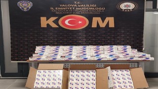 Yalovada 70 bin makaron ele geçirildi