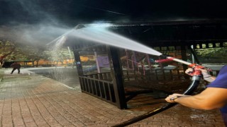 Yalovada parkta yakılan ateş kamelya yangınına sebep oldu