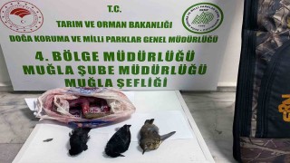 Yasadışı avcılığa 23 bin TL ceza