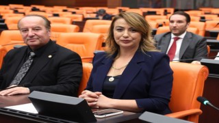 Yayladağı Sınır Kapısı'nın Açılması İçin Nermin Yıldırım Kara'dan Acil Çağrı