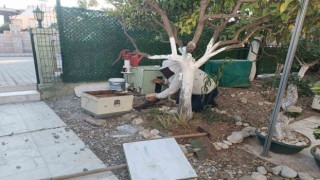 Yazlığına geldiğinde arı kolonisiyle karşılaştı, zabıtayı aradı