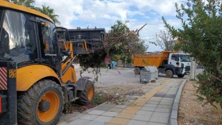 Yenişehir Belediyesi budama ve moloz atıklarını periyodik olarak topluyor