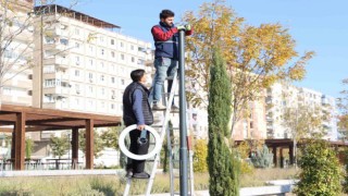 Yenişehir Millet Bahçesinde kapsamlı bakım çalışması başlatıldı