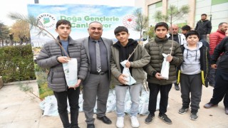 Yeşilyurtta bin adet çam fidanı dağıtıldı