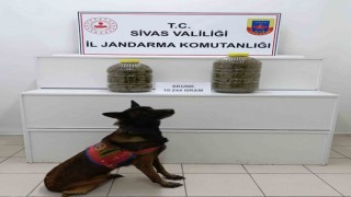 Yolcu valizinden 10 kilo uyuşturucu çıktı