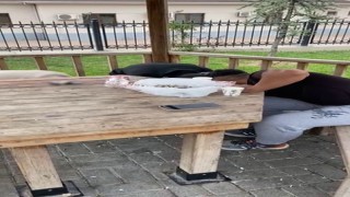 Zabıta ekipleri çekirdek çitleyip çöpünü yere atan gençlere çekirdek kabuklarını temizletti