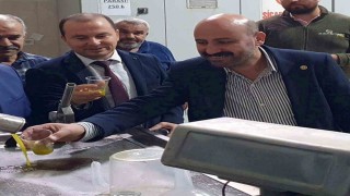 Zeytinde verim arttı, yağın fiyatı 160 TLye kadar düştü