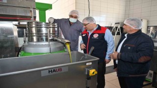Zeytinyağı üretim ve satış yerlerinde denetimler devam ediyor