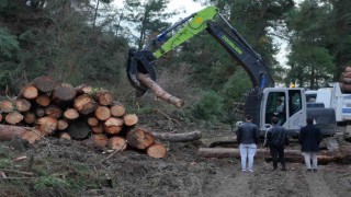 100 dönüm ormanlık alan yenilenme gerekçesiyle kesildi