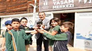 2024te 607 can sıcak bir yuvaya kavuştu