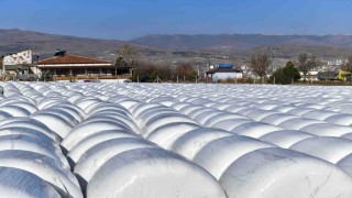 ABBden Kalecikli üreticiye can suyu