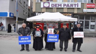 Acılı ailelerin evlat nöbeti 175inci haftaya girdi