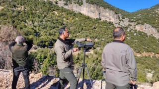 Adıyamanda yaban keçilerinin popülasyonu çıkartıldı