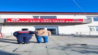 Afyonkarahisarda kaçak şahıslar yakalandı