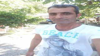 Ağaç keserken kafasına yamaçtan taş düşen adam hayatını kaybetti