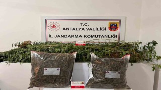 Alanyada narkotik operasyonları