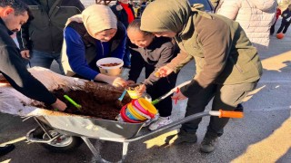Anamurda ceviz tohumları toprakla buluşturuldu