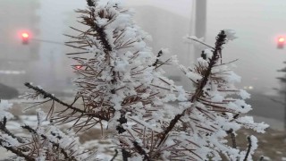Ardahanda soğuk hava ve sis hayatı olumsuz etkiliyor