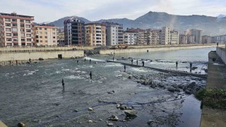 Artvinde fırtına somon kafesini parçaladı, vatandaşlar dereye akın etti